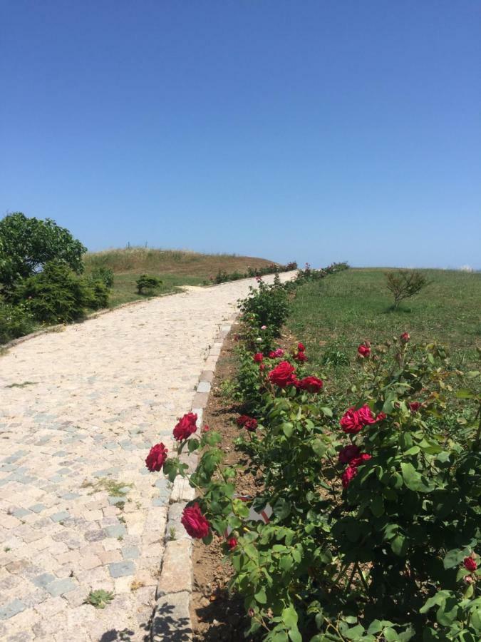Apartament Renta Bg In *